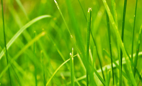 发卡平台特惠的网站攻击源码